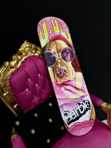 poltrona e skate cane